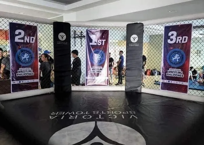 Victoria Sports Tower A1 Loft Freepool Gym Walk Mrt Gma Apartment Manila